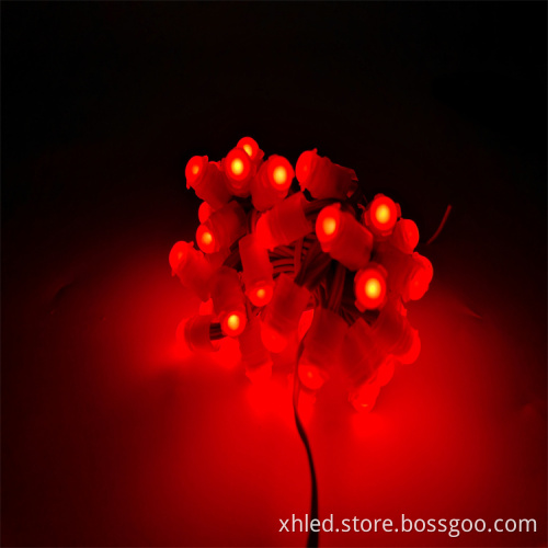 Factory Direct DC12V 9mm IP67 Waterproof LED Pixel Lights for Signboards and Christmas Tree Lighting